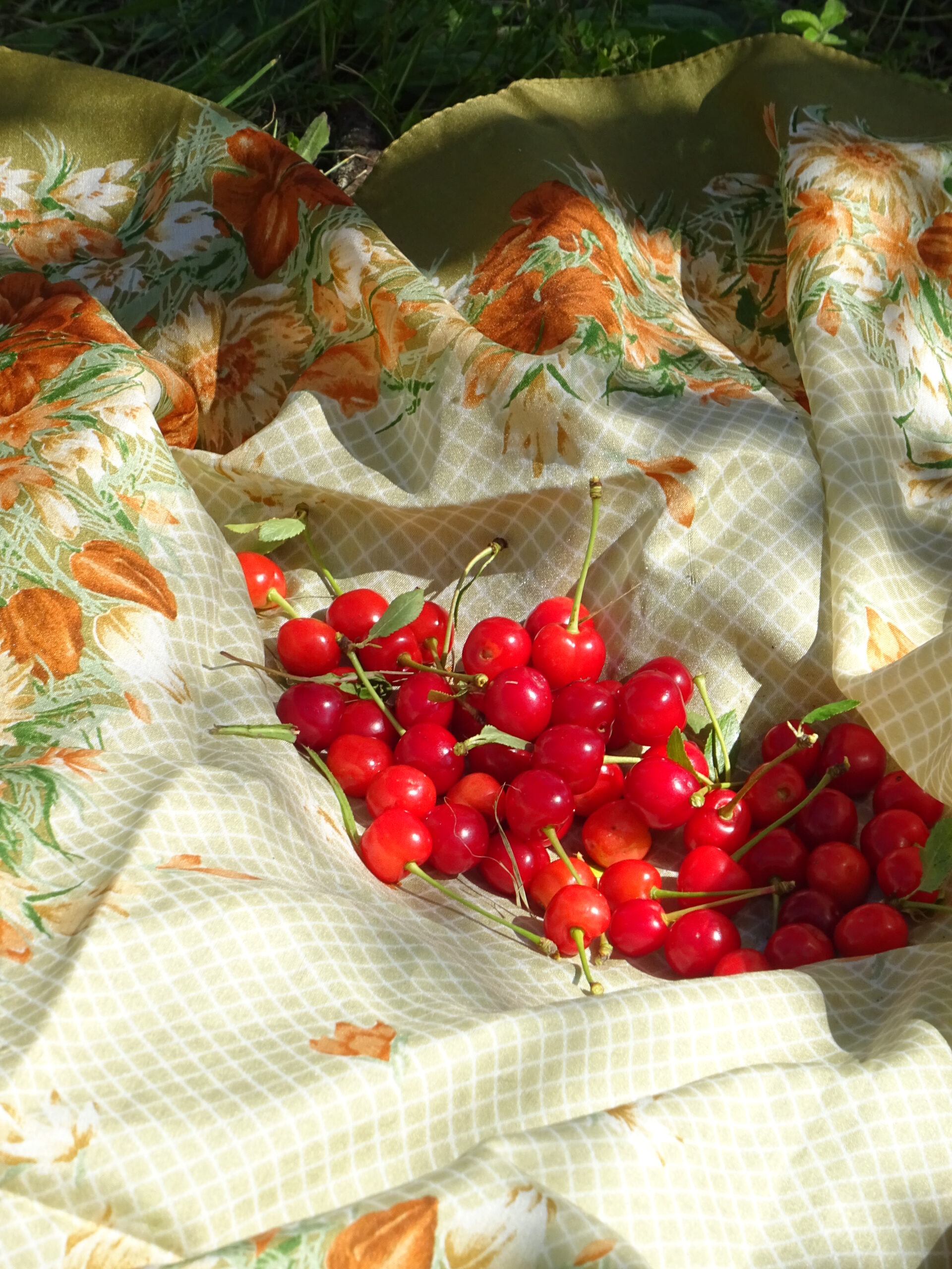 Končí školní rok, léto vítej