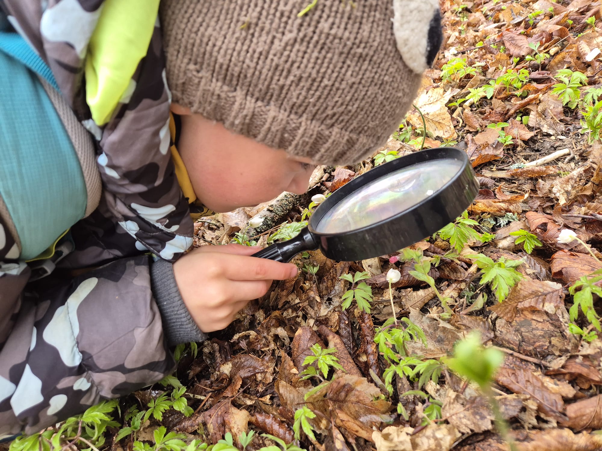 Dny otevřených dveří